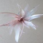 Heckle and Biot Feather Pic..