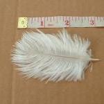Lot of 3 Baby Ostrich Feath..