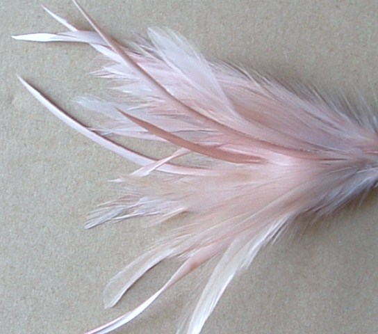 Heckle and Biot Feather Pick - Nude