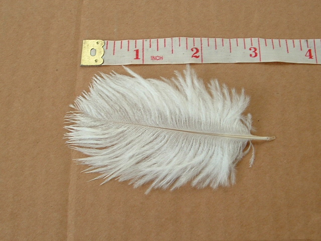 Lot of 3 Baby Ostrich Feathers - White