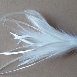 Hackle and Biot Feather Pick - White
