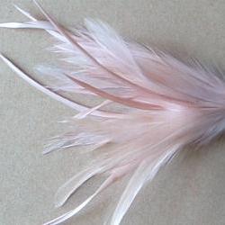 Heckle and Biot Feather Pick - Nude